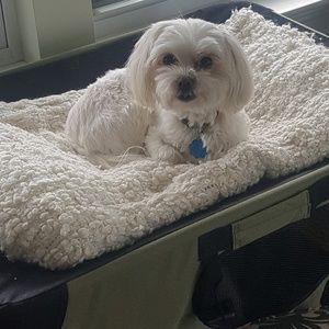 Meet your Posher, Jill